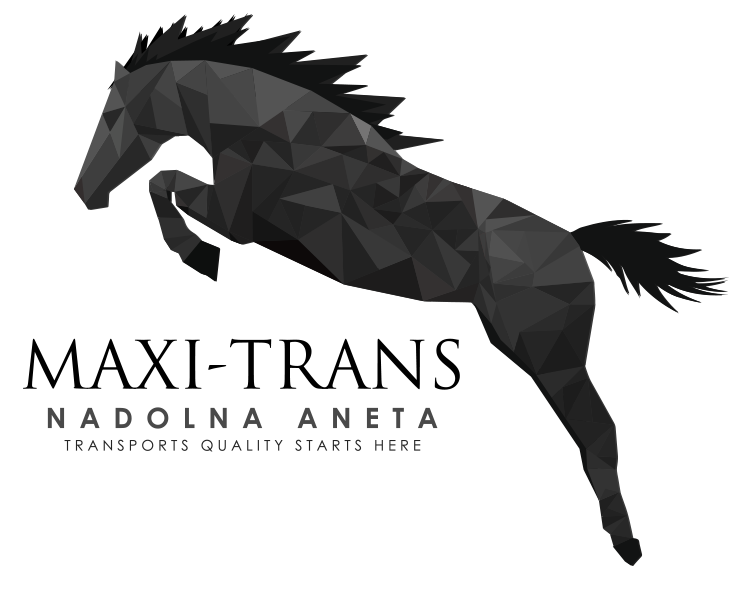 Maxi-Trans – nowoczesna realizacja transportu
